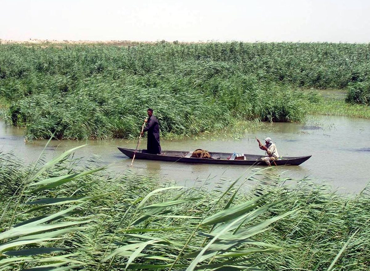 Two Marsh Arabs poling a traditional mashoof canoe through the reeds of southern Iraq