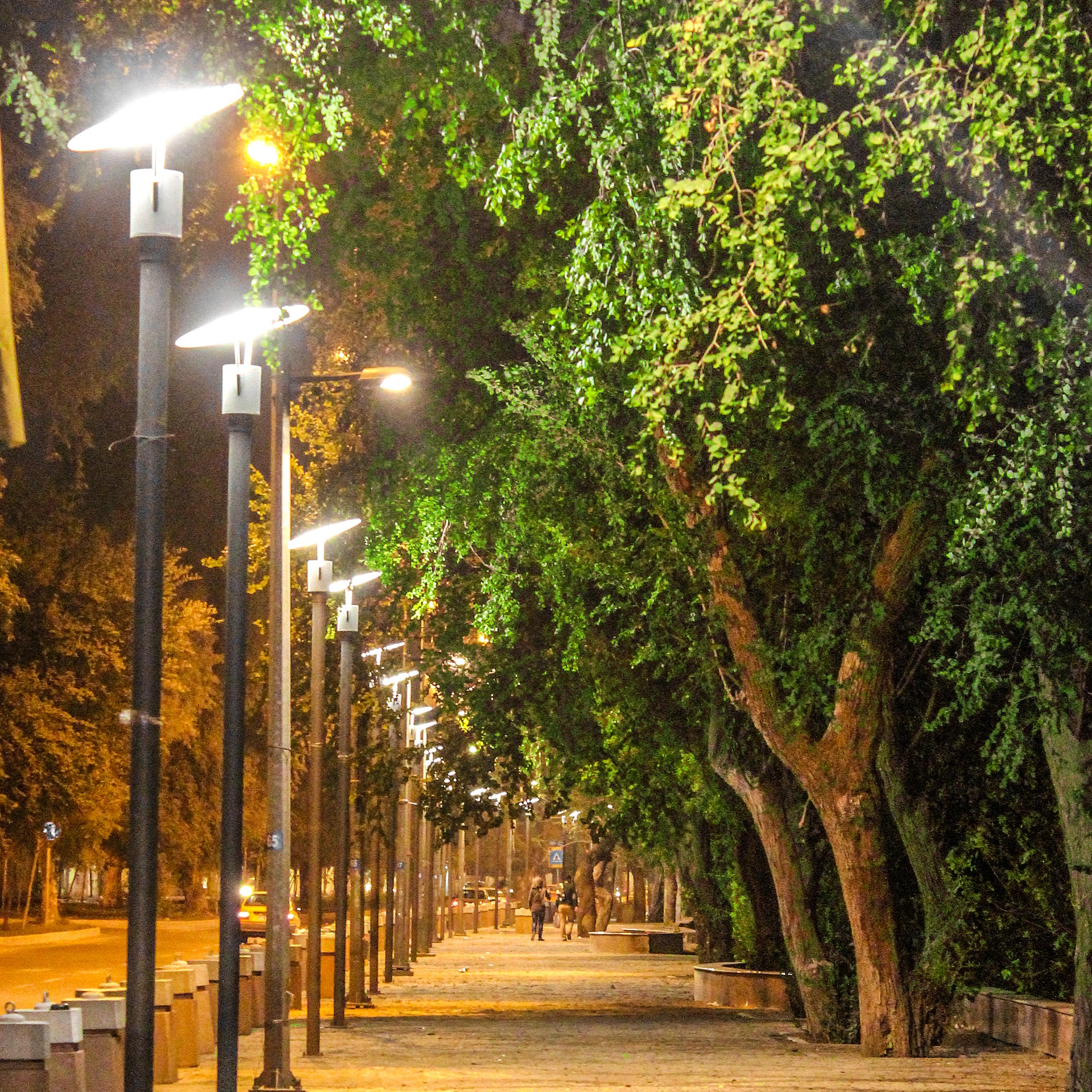 Tree-lined lit promenade on Abu Nuwas Street beside the Tigris in Baghdad at night, with people walking under street lamps