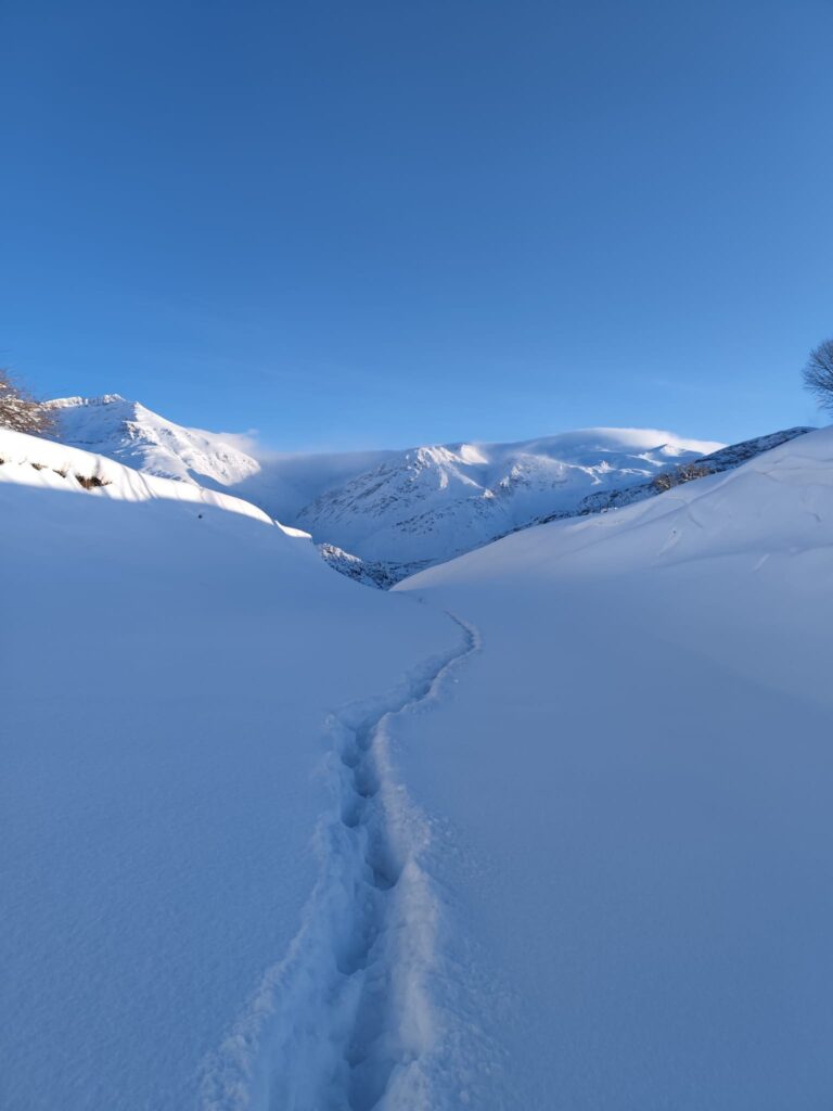 A footpath through deep snow near Shora village in Choman district