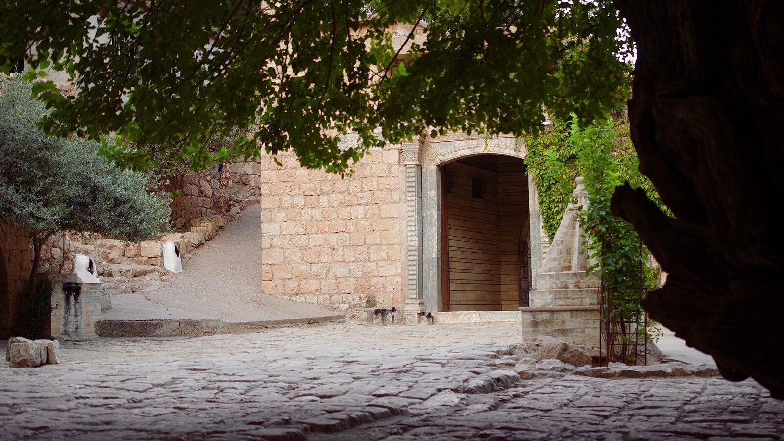 Entrance to the courtyard of the main temple at Lalish, with a fluted spire under a large tree