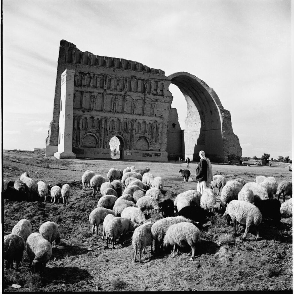 Taq Kasra at Ctesiphon in 1963, with a shepherd and his flock grazing in front of the arch