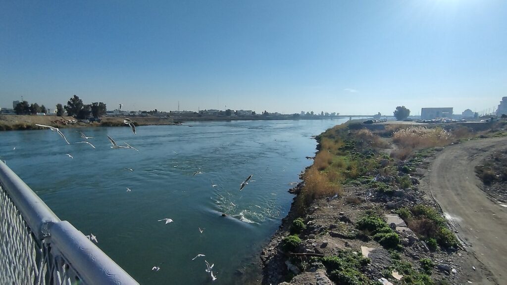 The Tigris River at Mosul, one of the two rivers that shaped the history of Mesopotamia, with gulls over the water